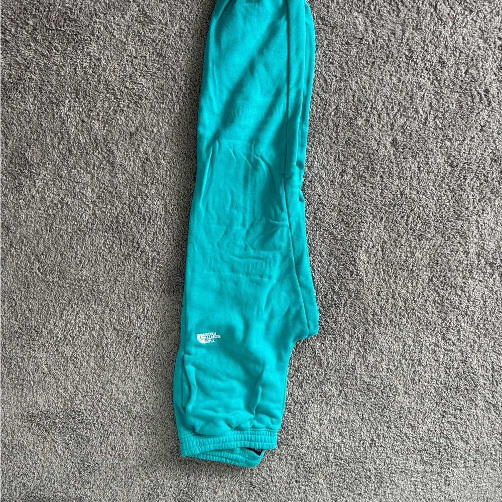 The North Face Women's Teal Joggers